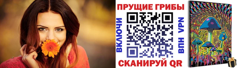 Галлюциногенные грибы Magic Shrooms  купить наркоту  Вологда 